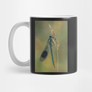 Banded Demoiselle on a Grass Stalk Mug